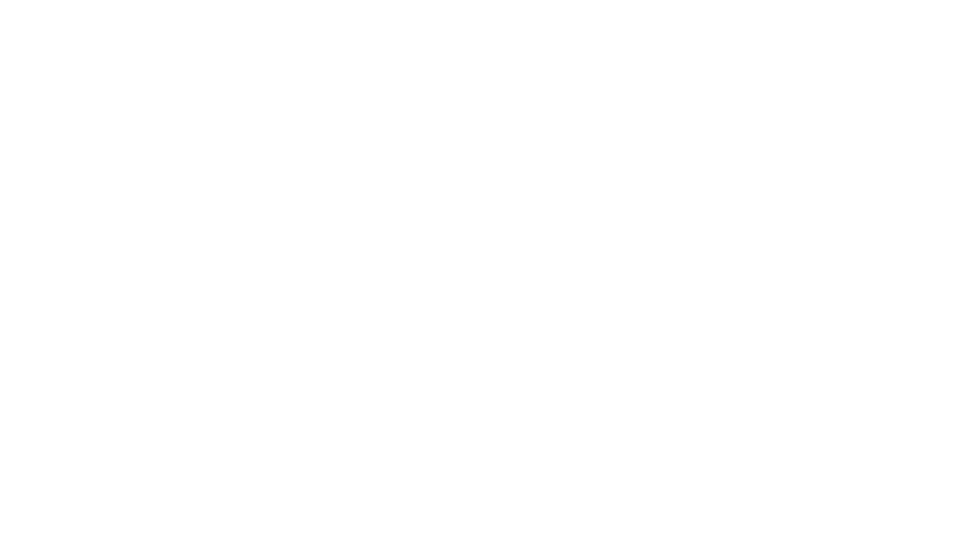 Octus Visual